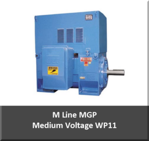 medium voltage motor